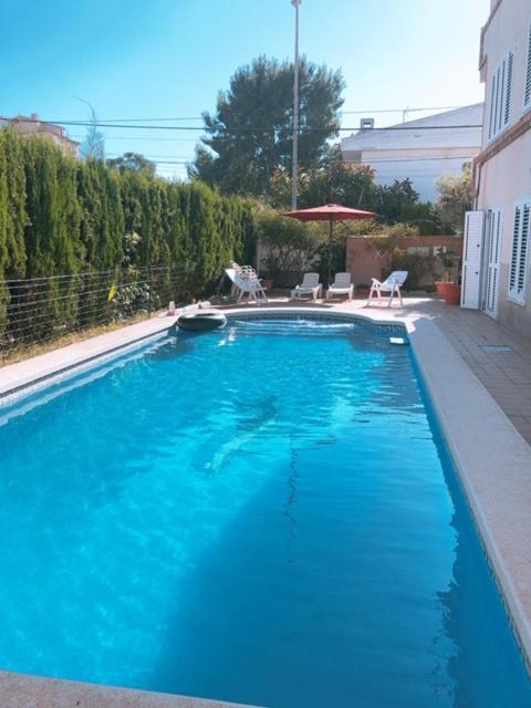 Apartamentos Playa Centro 베니카씸 외부 사진